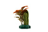 Heroscape: The Swamps of Valhalla Terrain Expansion (PRE-ORDER)-All Things Heroscape